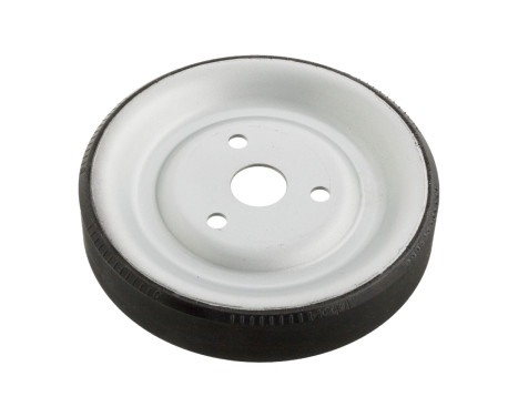 Pulley, water pump 102466 FEBI