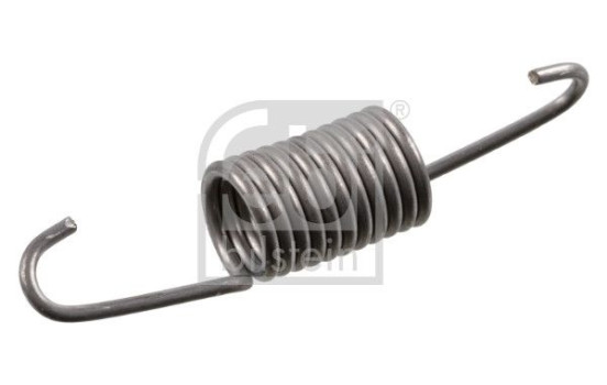 Tension Spring, tensioner pulley (timing belt) 19324 FEBI, Image 2