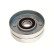 Tensioner Lever, v-ribbed belt