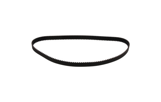 Timing belt 26900 FEBI