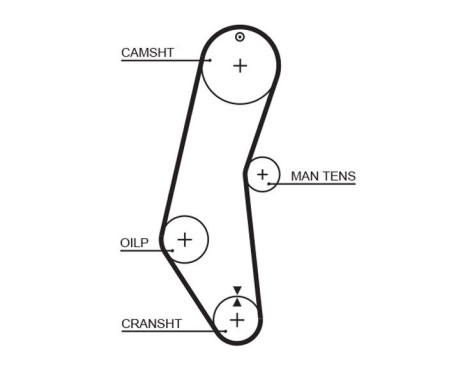 Timing belt 5018 Gates