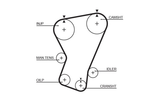 Timing belt 5065 Gates