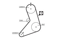 Timing belt 5079 Gates