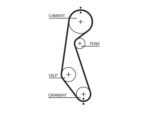 Timing belt 5090 Gates