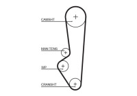 Timing belt 5097 Gates