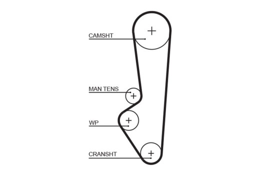 Timing belt 5097 Gates