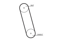 Timing belt 5100 Gates