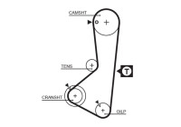 Timing belt 5110 Gates