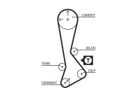 Timing belt 5188XS Gates