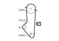 Timing belt 5253XS Gates