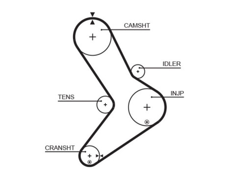 Timing belt 5334XS Gates, Image 2