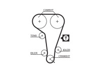 Timing belt 5360XS Gates
