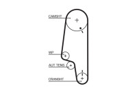 Timing belt 5427XS Gates