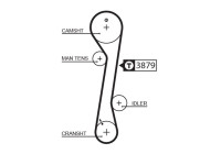 Timing belt 5457XS Gates