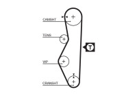 Timing belt 5521 Gates