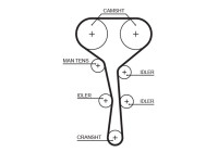 Timing belt 5532XS Gates