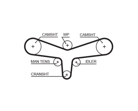 Timing belt 5557XS Gates, Image 2
