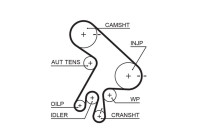 Timing belt 5562XS Gates