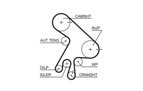 Timing belt 5562XS Gates