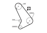 Timing belt 5572XS Gates