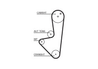 Timing belt 5575XS Gates