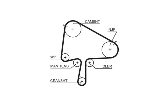 Timing belt 5596XS Gates