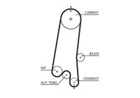 Timing belt 5597XS Gates