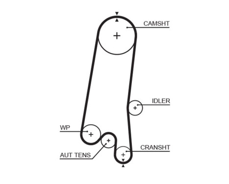 Timing belt 5597XS Gates