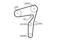 Timing belt 5600XS Gates