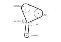 Timing belt 5654XS Gates