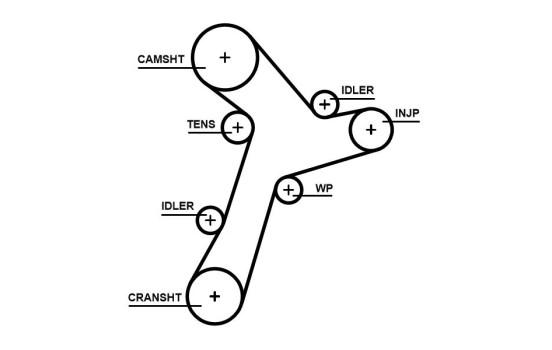 Timing belt 5695XS Gates