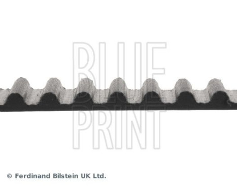 Timing Belt ADA107503 Blue Print, Image 4