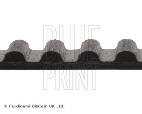 Timing Belt ADC47502 Blue Print, Image 4
