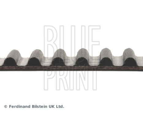 Timing Belt ADC47517 Blue Print, Image 4