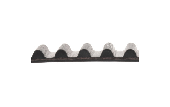 Timing Belt ADC47519 Blue Print, Image 2
