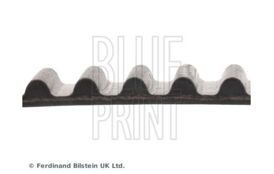 Timing Belt ADC47519 Blue Print, Image 4