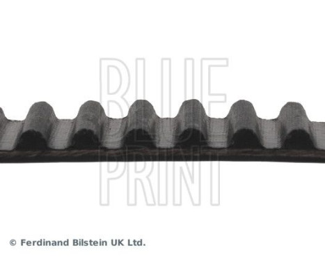 Timing Belt ADC47520 Blue Print, Image 4