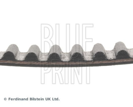 Timing Belt ADC47522 Blue Print, Image 4