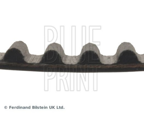 Timing Belt ADC47525 Blue Print, Image 4
