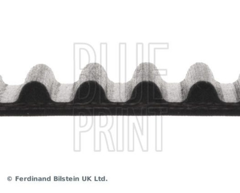 Timing Belt ADC47526 Blue Print, Image 4