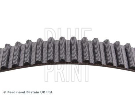 Timing Belt ADC47537 Blue Print, Image 4