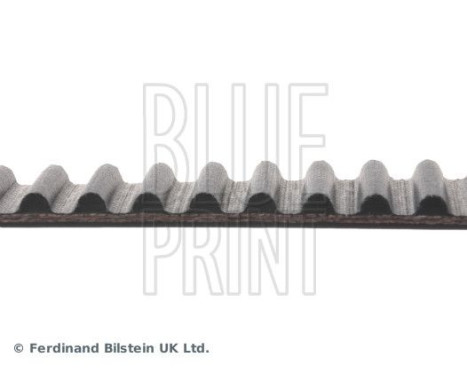 Timing Belt ADC47539 Blue Print, Image 4