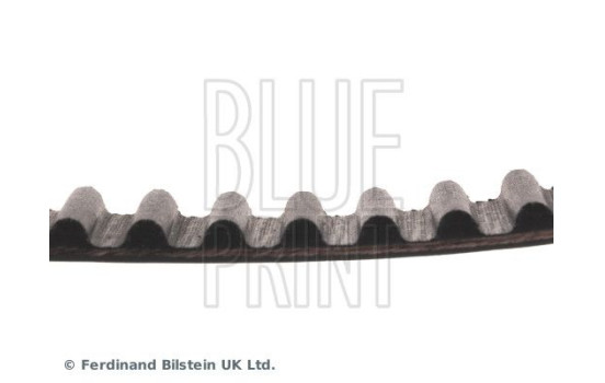 Timing Belt ADC47540 Blue Print, Image 4