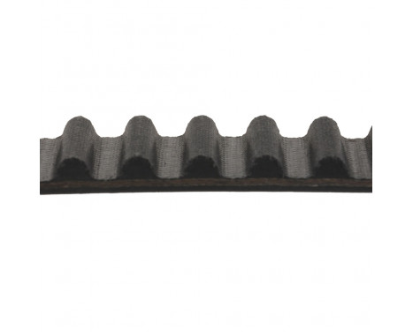 Timing Belt ADC47542 Blue Print, Image 2