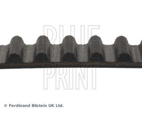 Timing Belt ADC47542 Blue Print, Image 4