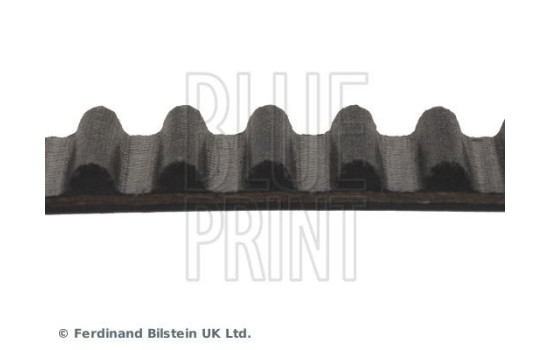 Timing Belt ADC47542 Blue Print, Image 4