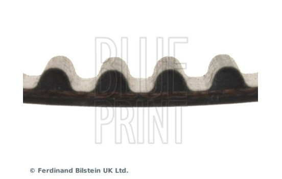 Timing Belt ADC47543 Blue Print, Image 4