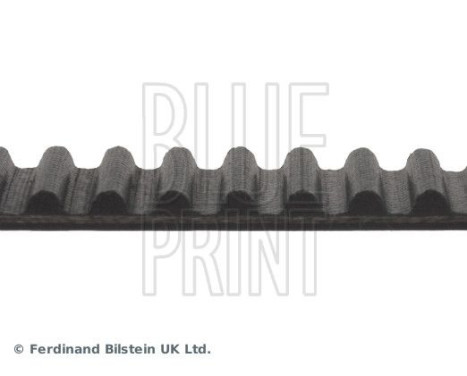 Timing Belt ADC47548 Blue Print, Image 4