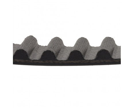 Timing Belt ADC47556 Blue Print, Image 2