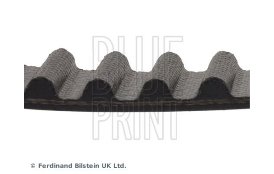 Timing Belt ADC47556 Blue Print, Image 4